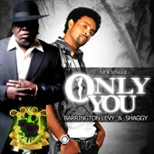 Only You (feat. Shaggy) artwork