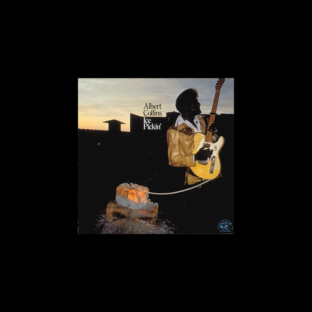 アルバート コリンズの Ice Pickin をapple Musicで アルバート コリンズの Ice Pickin をapple Musicで