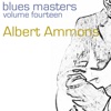 Blues Masters (Volume 14), 2009