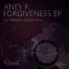 Forgiveness (Original Mix) song lyrics