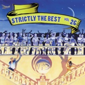 Strictly the Best, Vol. 26 artwork