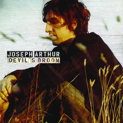 Devil's Broom / Can't Exist - Single - Joseph Arthur