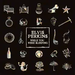 While You Were Sleeping - Single - Elvis Perkins