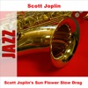 Scott Joplin - The Entertainer