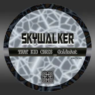 Skywalker - Single by TKC & Goldnant album reviews, ratings, credits