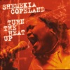 Shemekia Copeland - Salt In My Wounds