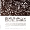 Sounds of American Tropical Rain Forest: Produced for the American Museum of Natural History