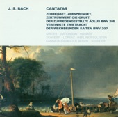 Bach: Cantatas - BWV 205, 207 artwork