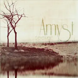 Seeker - EP - Amyst