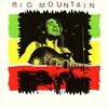Big Mountain, 2011