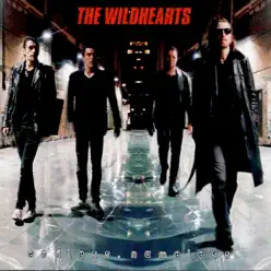 Endless, Nameless - The Wildhearts Endless, Nameless - The Wildhearts