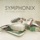 Symphonix-Strawberry Lime