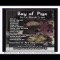 Bullwhip - Bay of Pigs lyrics