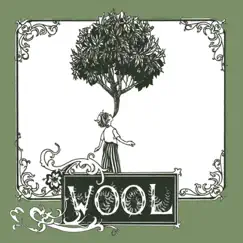 Wool by Nick Jaina album reviews, ratings, credits