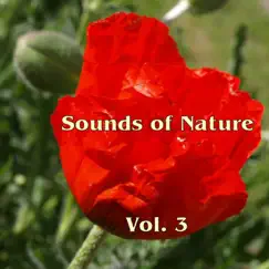 Sounds Of Nature Vol. 3 by John Fox & Mac Prindy album reviews, ratings, credits