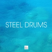 Steel Drums - Caribbean Steel Drum Music, Steelpan and Caribbean Drums Dance Party artwork