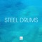 Steel Drum artwork