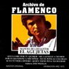 Archivo de Flamenco Vol.13 (El Agujetas)