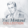Collection - Yves Montand