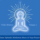 Vedic Mantras for Peace, Health and Protection - With Vedmurti Shri Narayan Joshi and Vedmurti Shri Dandage Gurugi artwork