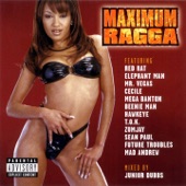 Maximum Ragga, Vol. 1 (Mixed By Junior Dubbs) artwork