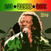 Ras Natty Baby (Live Version), 2010