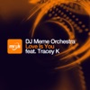 Love Is You (Quentin Harris Lovely Dub) [feat. Tracey K] - Single