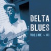 Delta Blues, Vol. 1