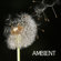 Background Music - Ambient
