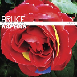 Bruce Kaphan - Pohaka La