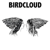 Birdcloud - Do What I Want