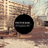 Phutur Base Compilation, Vol. 2 - Various Artists