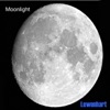 Moonlight