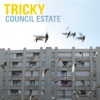 Council Estate - Single