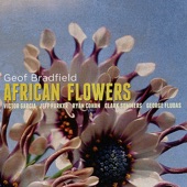 African Flowers artwork