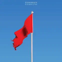 In the Midst of This - Expatriate