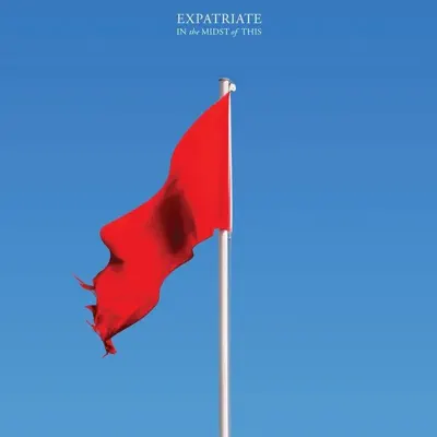 In the Midst of This - Expatriate