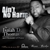 Ain't No Harm - Single