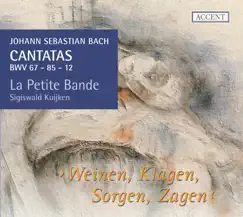 Ich bin ein guter Hirt, BWV 85: Chorale: Der Herr ist mein getreuer Hirt (Soprano) Song Lyrics