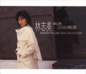 林志美 - 感情的段落