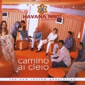 Camino al Cielo artwork