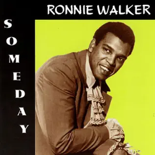lataa albumi Ronnie Walker - Someday