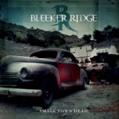 Bleeker Ridge - Uppercut