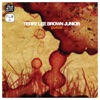 Terry Lee Brown Junior - Night In Sutivan