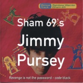 Sham 69's Jimmy Pursey - Die In DIsneyland