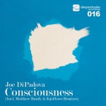 Consciousness (Main ONE Mix)