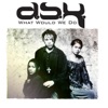 DSK - What Would We Do