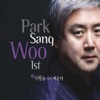 박상우 (Park Sang-Woo) - 그대 내게 오는 날