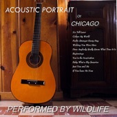 Acoustic Portrait of Chicago artwork