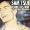 Born This Way - Sam Tsui lyrics